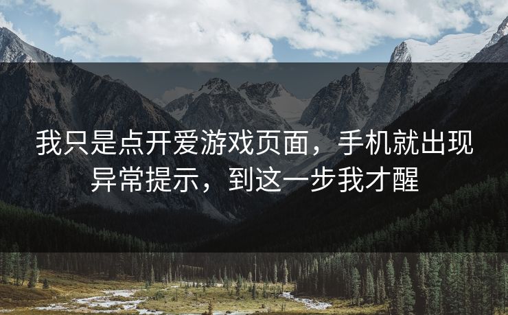 我只是点开爱游戏页面，手机就出现异常提示，到这一步我才醒