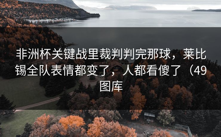 非洲杯关键战里裁判判完那球，莱比锡全队表情都变了，人都看傻了（49图库